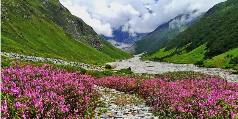 Valley of flowers package