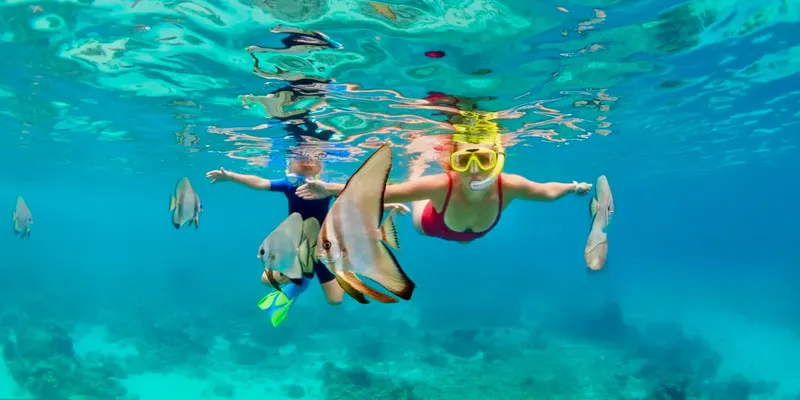 Shore Dive in Havelock Island