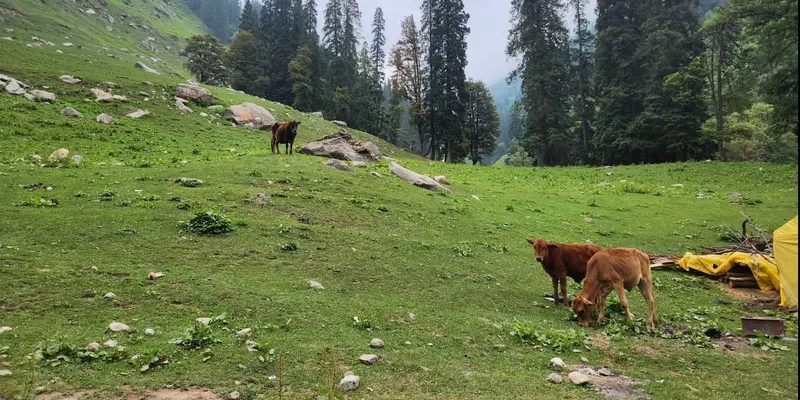 Itinerary to Manali-kasol-Grahan