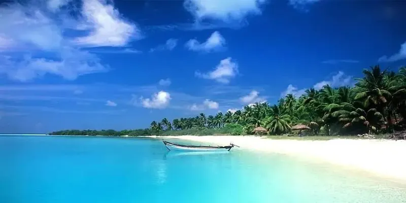 Snorkelling Trip