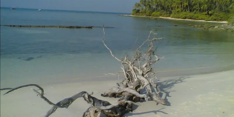 Scuba Diving in Lakshadweep