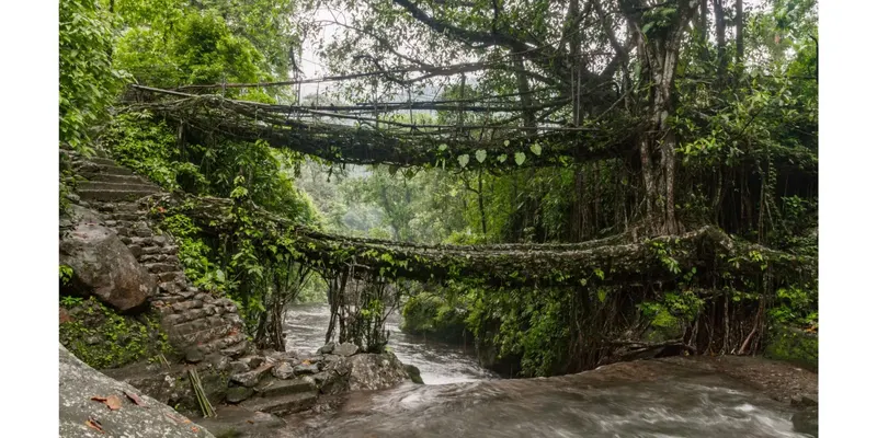 Meghalaya Group Tour 5 Days