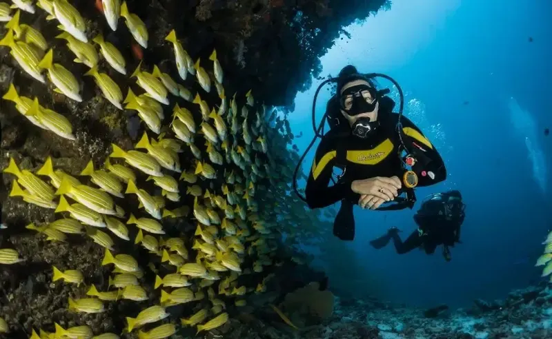 Scuba Diving Grand Island