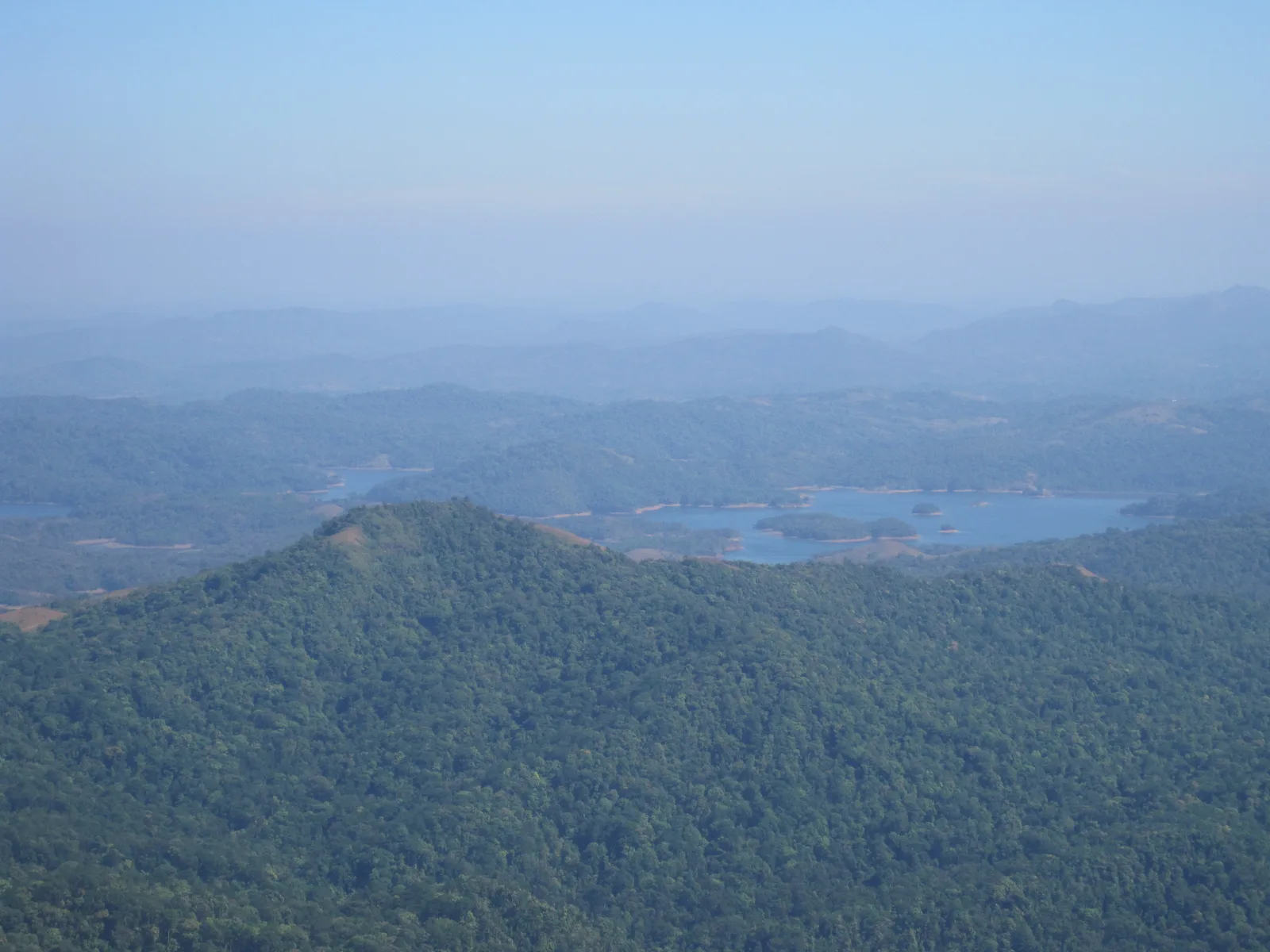 Kodachadri Trek