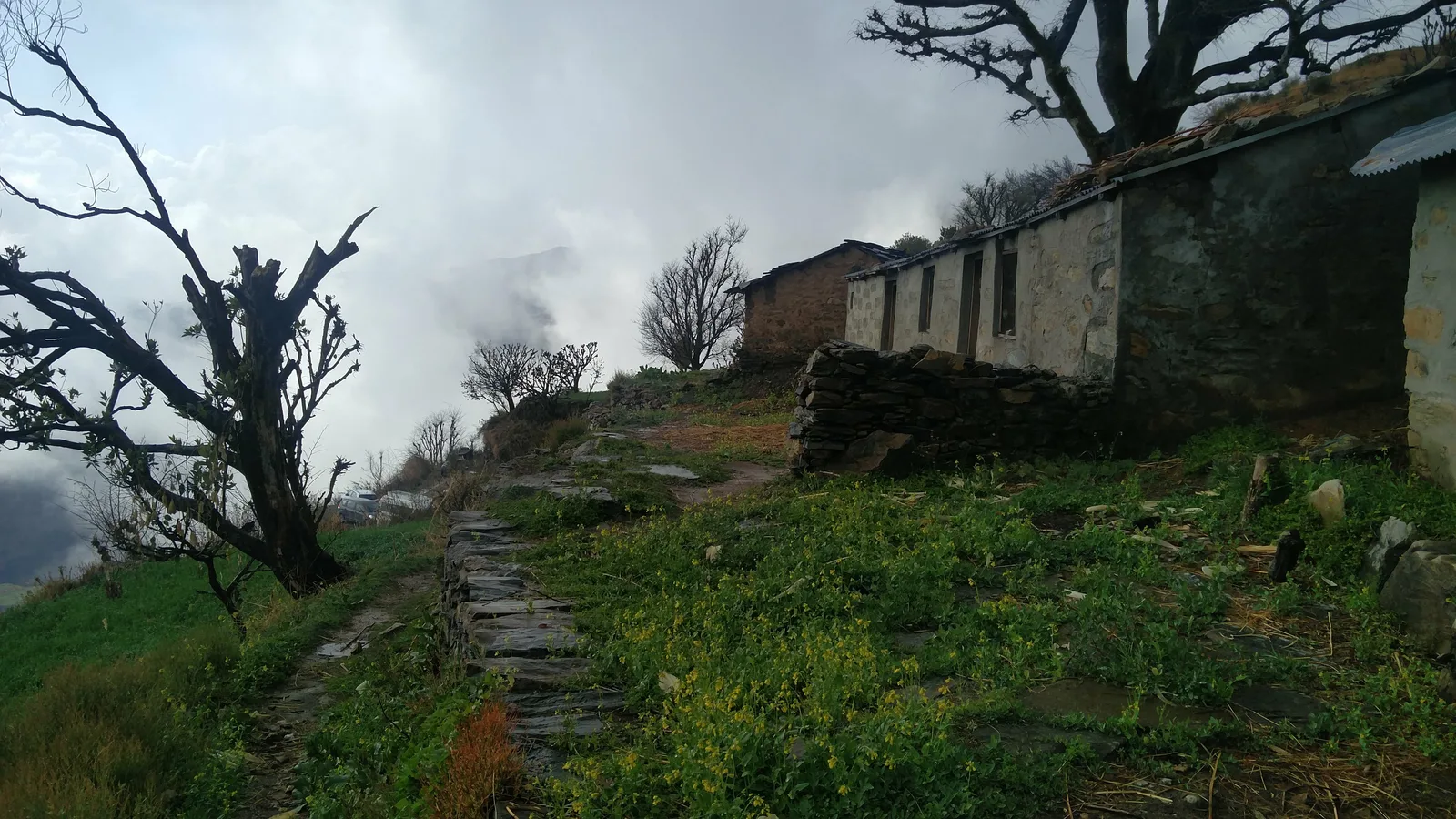 Nag Tibba Trek