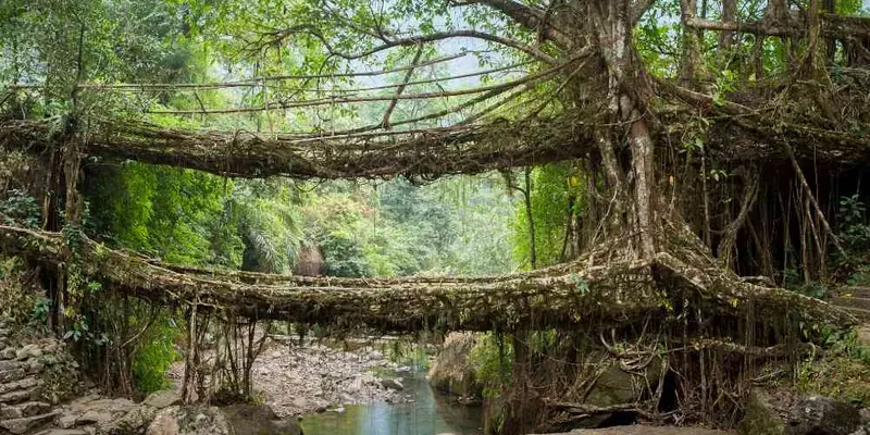 Meghalaya