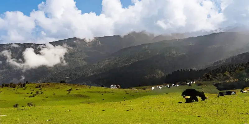 Kedarnath Trek 4D
