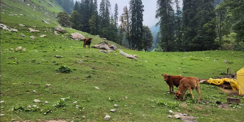 Nag Tibba Trek