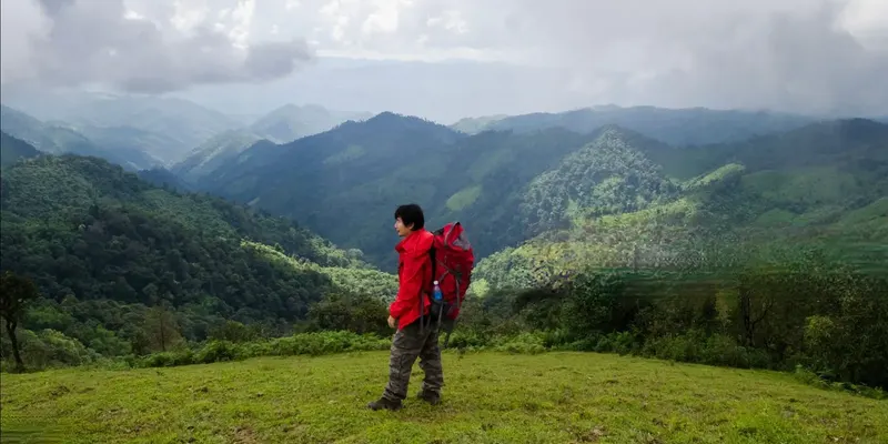 Munnar Thekkady Alleppey Tour Package